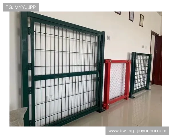 关于足球围栏专用围网规格的全面解析与多场景应用实用指南详解版